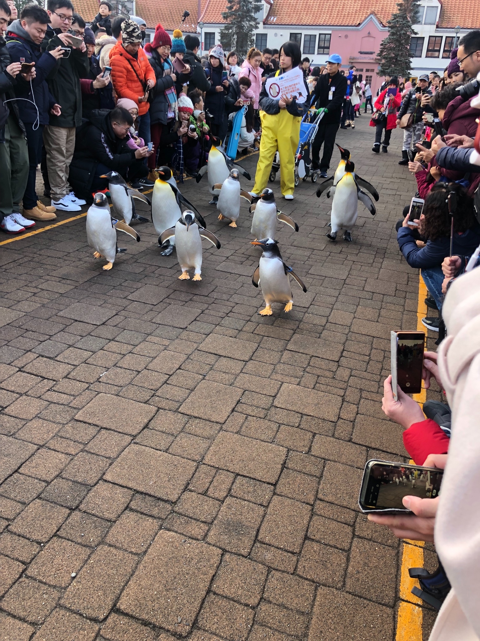 北海道自助遊攻略