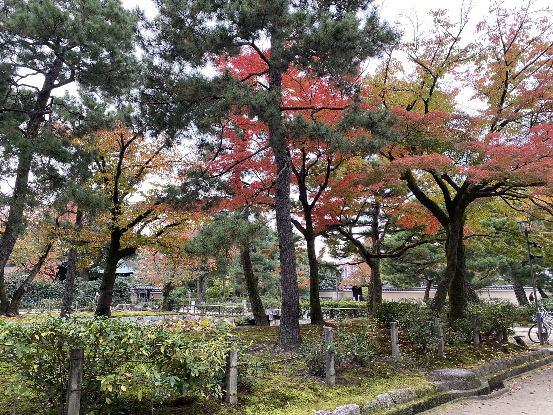 京都自助遊攻略