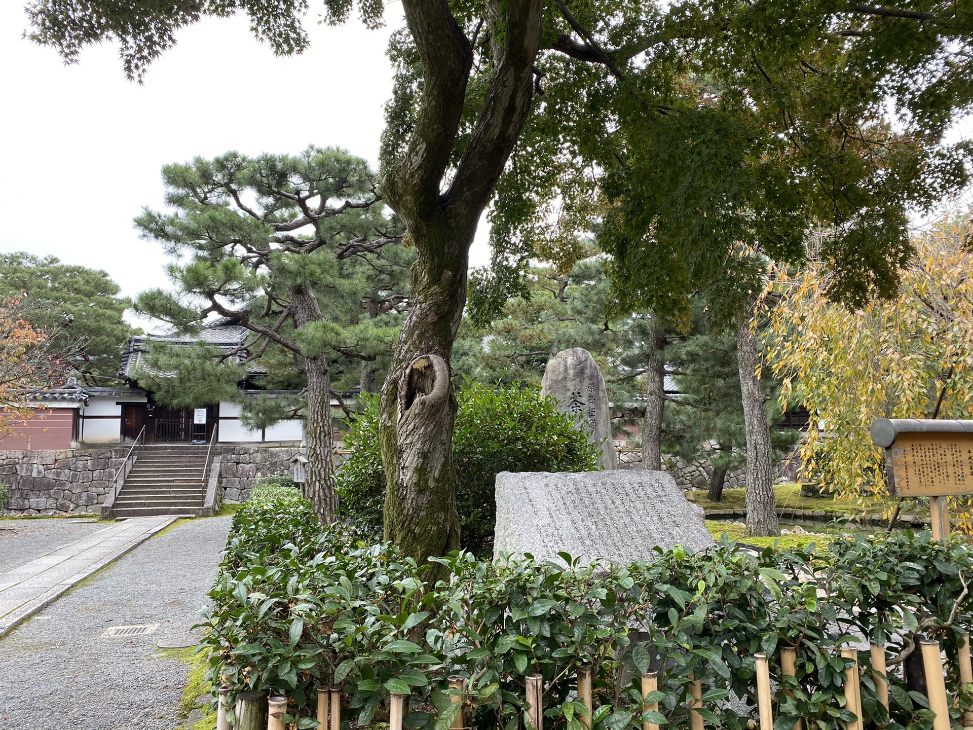 京都自助遊攻略