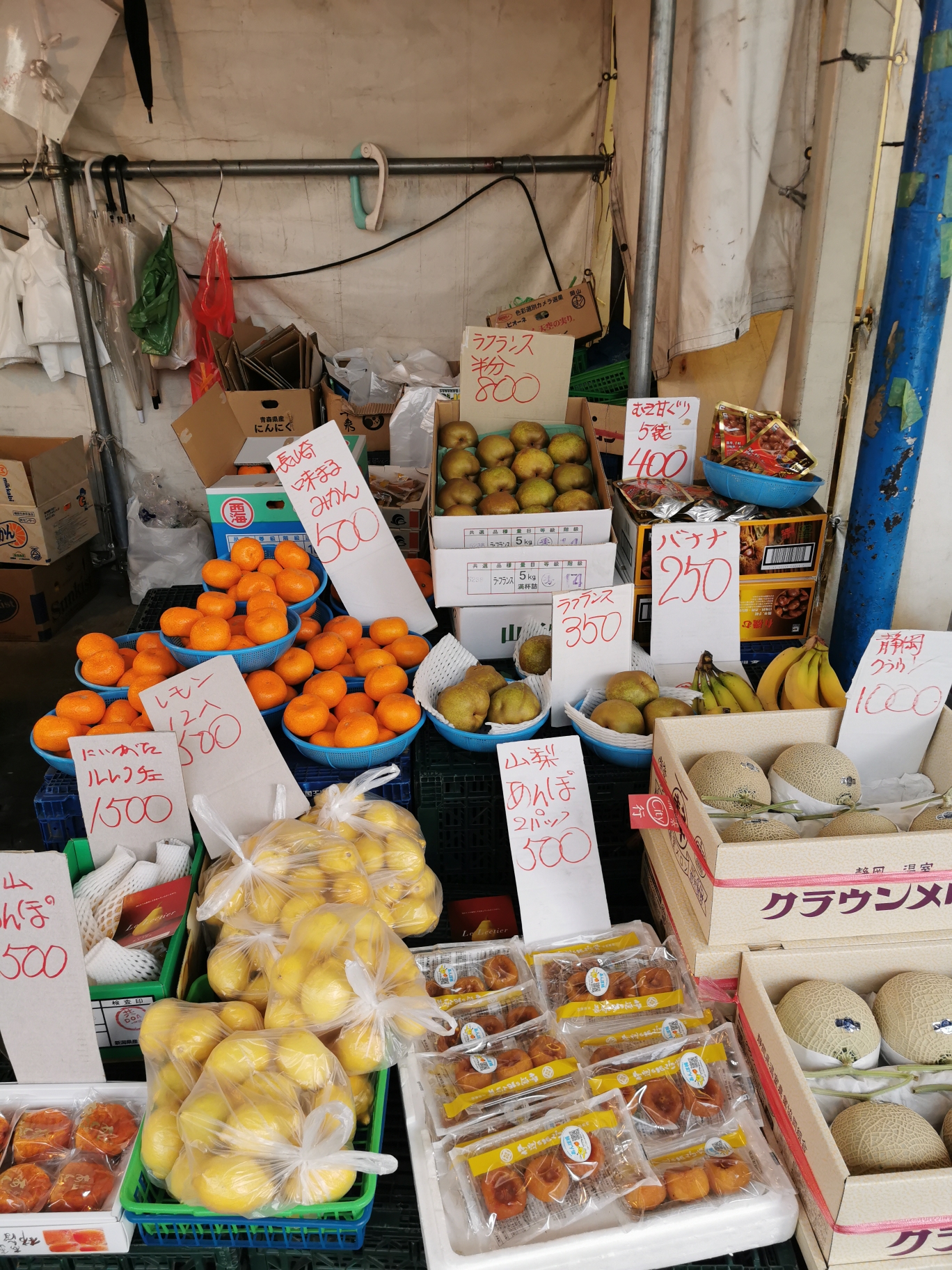 東京自助遊攻略