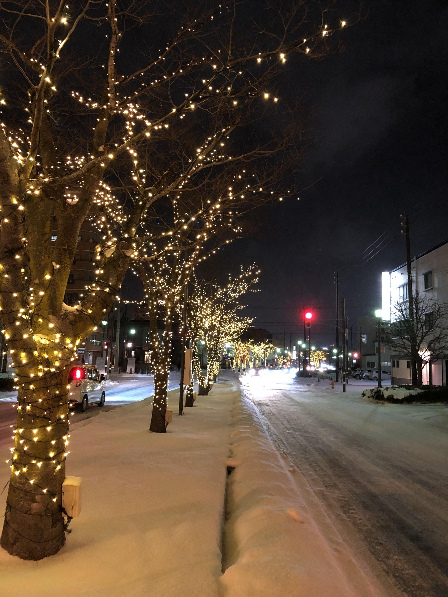 北海道自助遊攻略