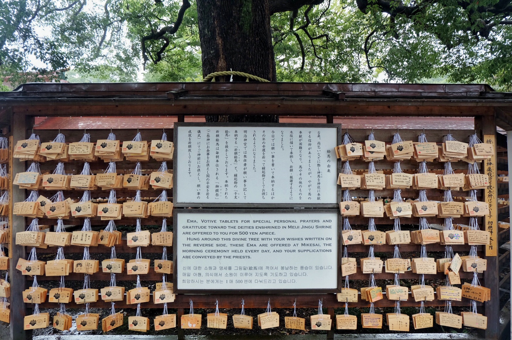 東京自助遊攻略