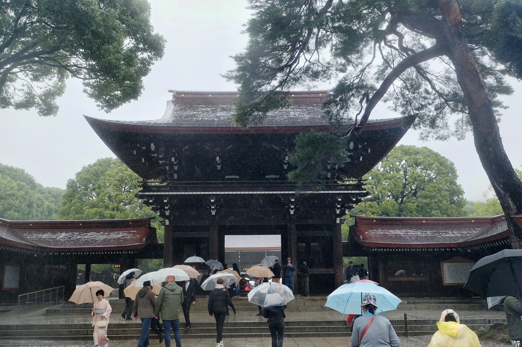 東京自助遊攻略