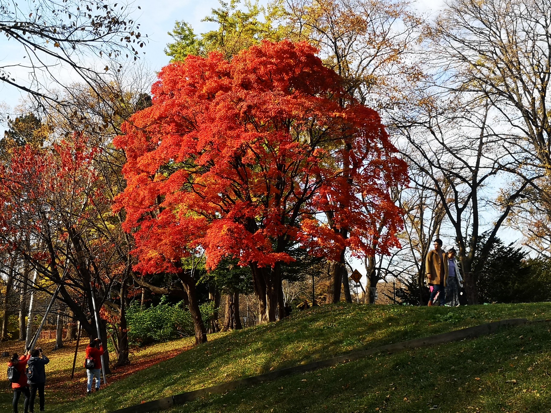 札幌自助遊攻略