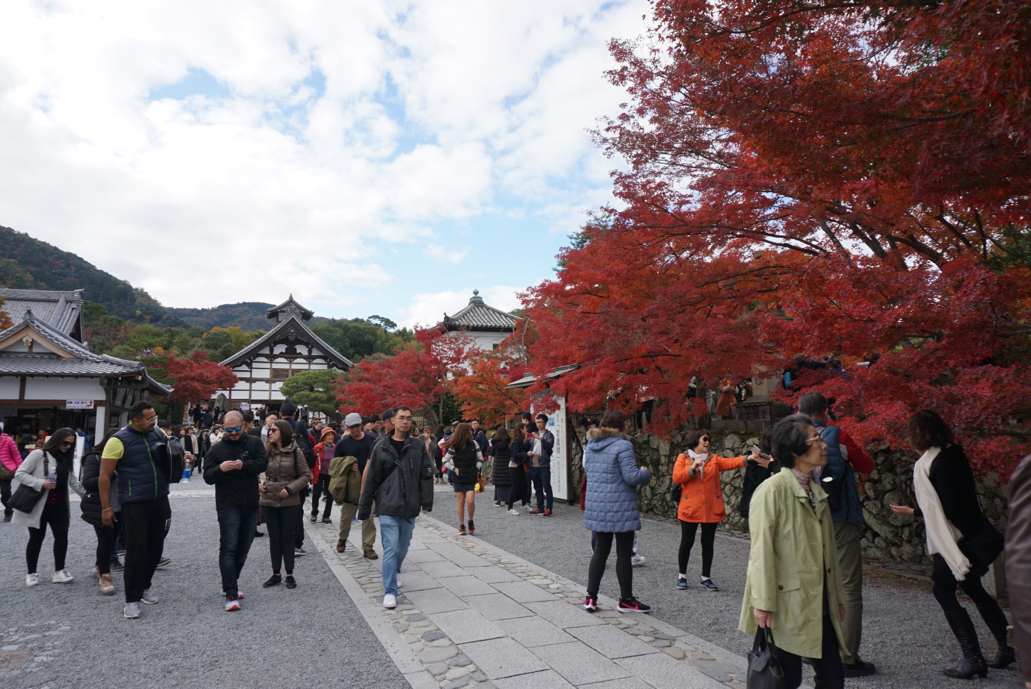 京都自助遊攻略