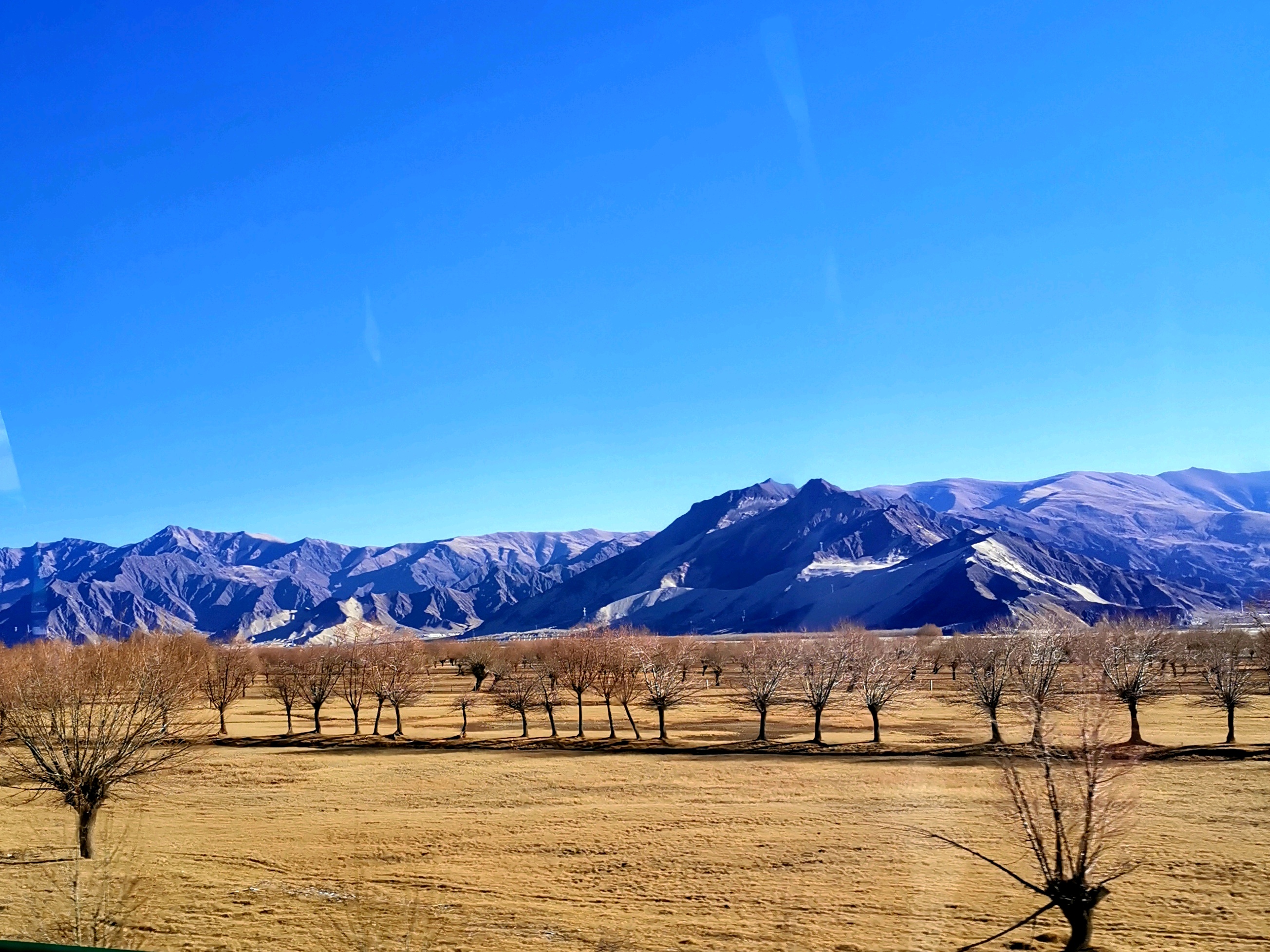 漳州到桑日旅游