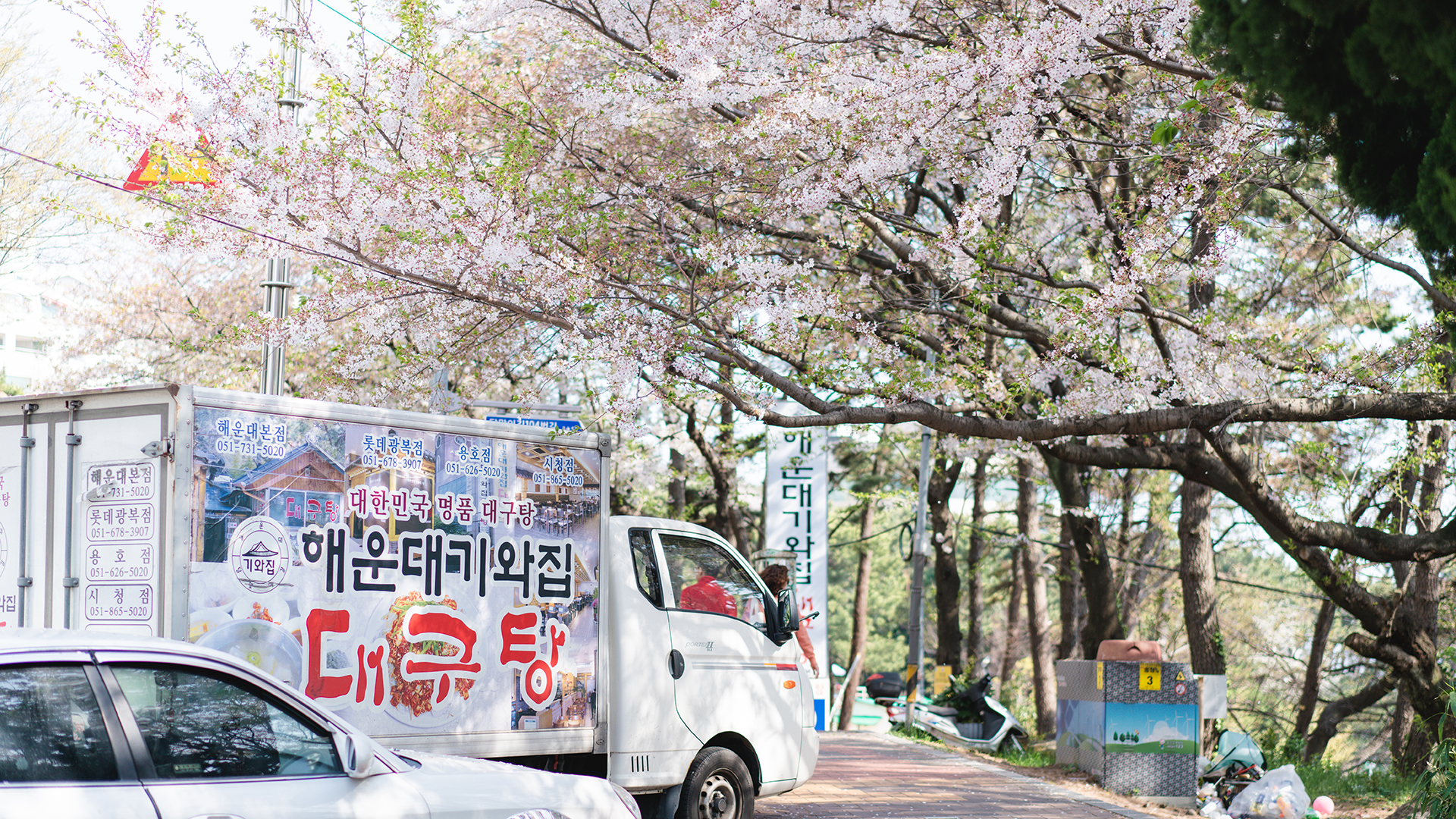 釜山自助遊攻略