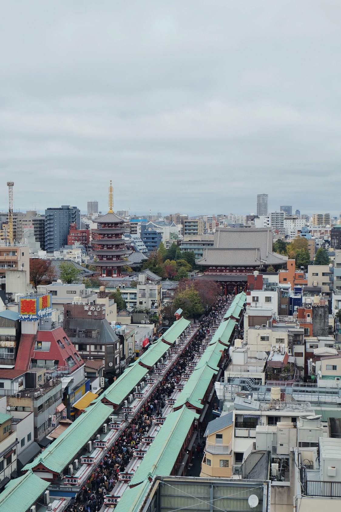 東京自助遊攻略