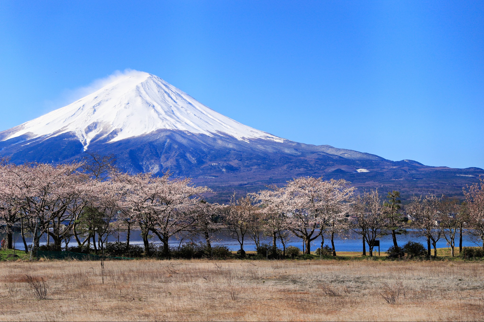 富士山自助遊攻略