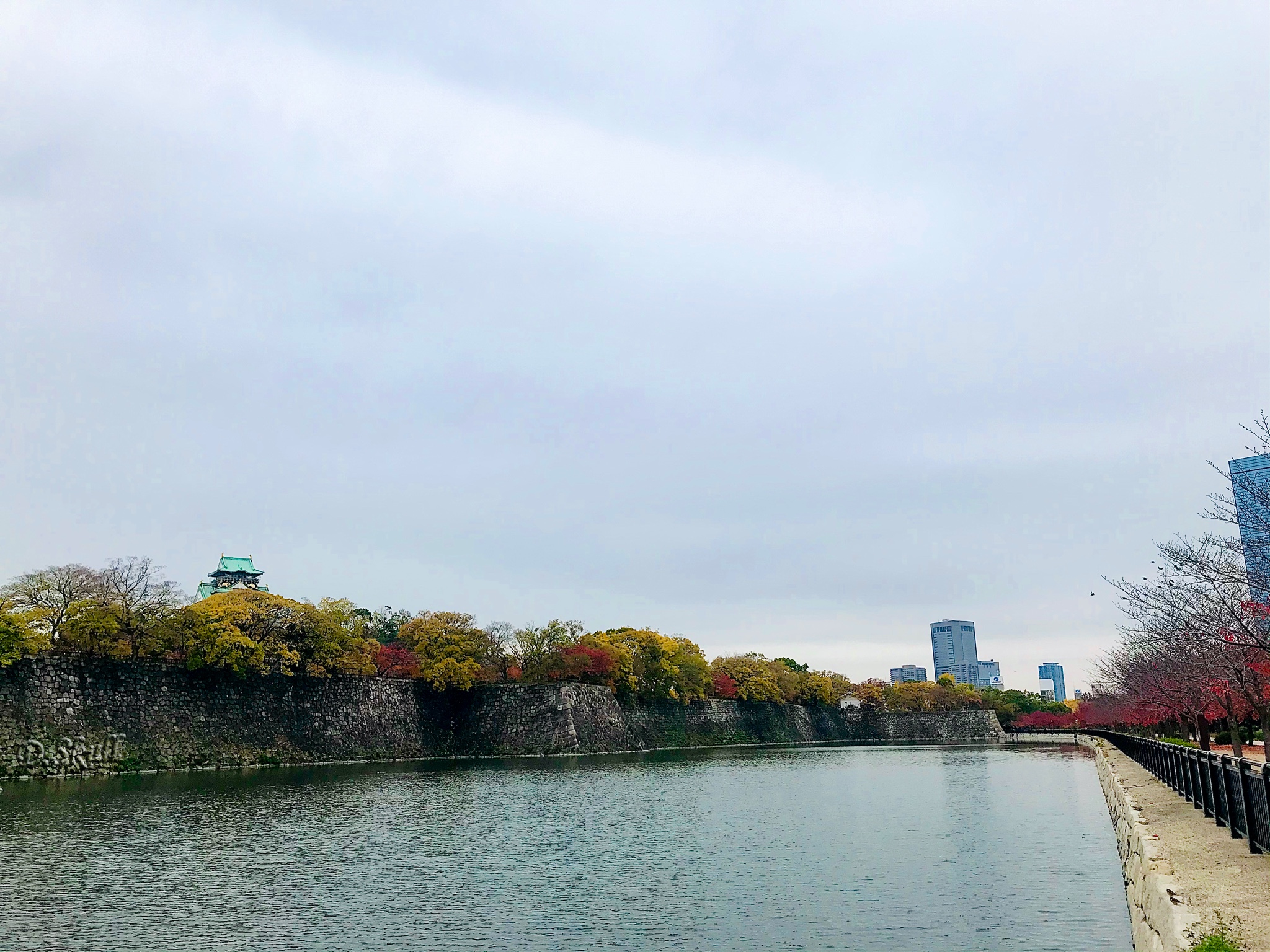 京都自助遊攻略