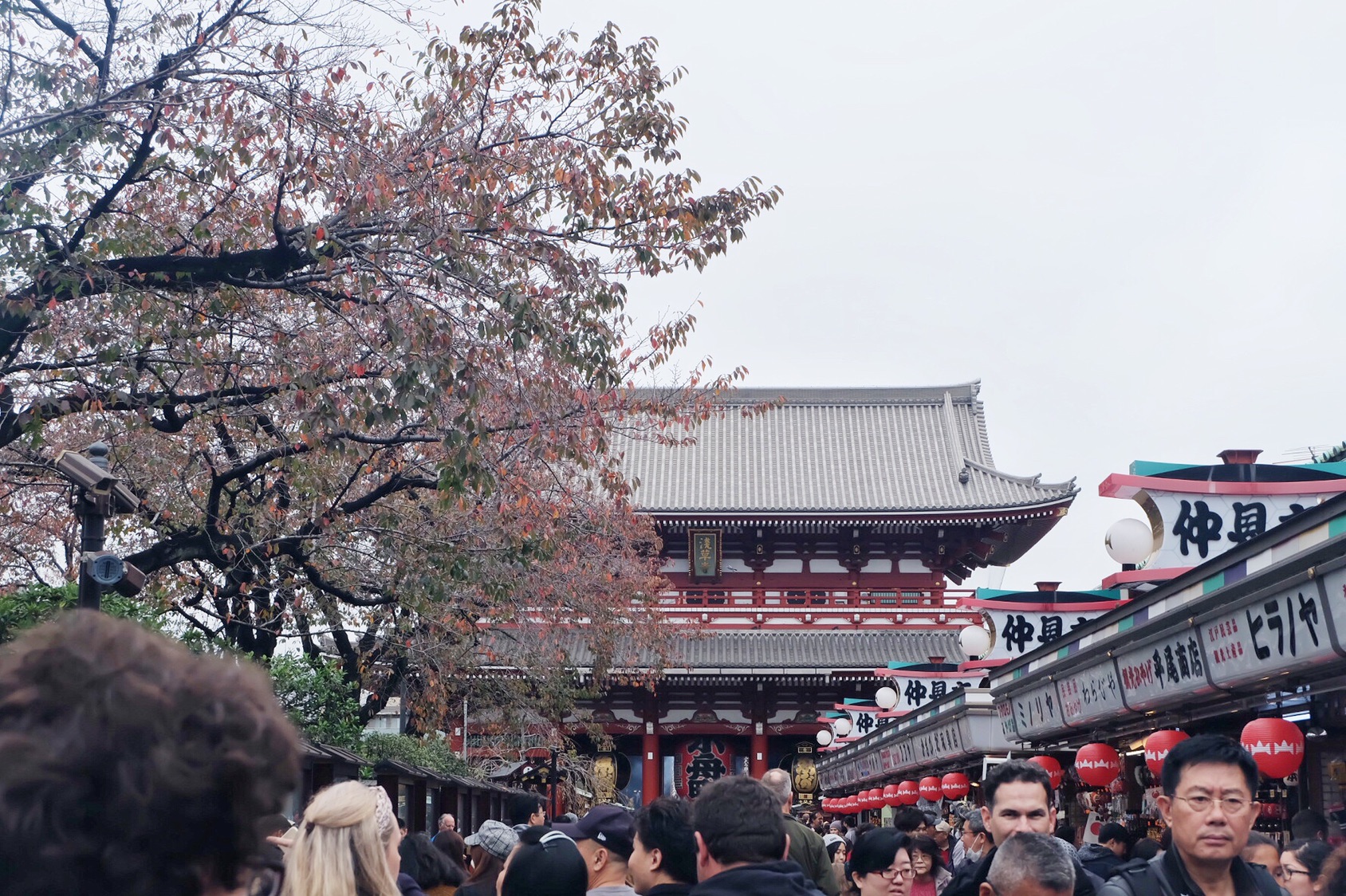 東京自助遊攻略