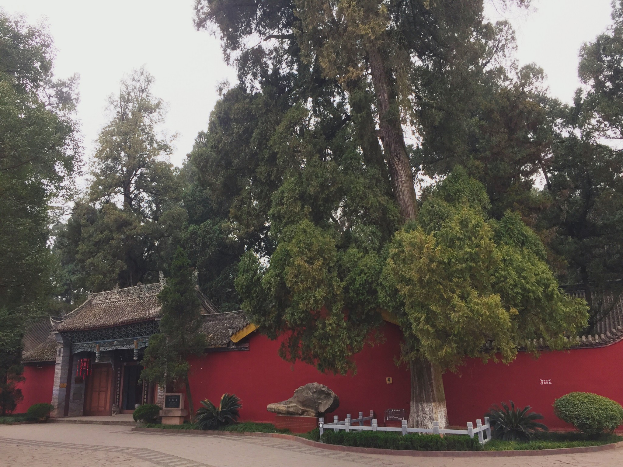 智收姜维 挥泪斩马谡 秋风五丈原 出师未捷身先死 天下第一流 名垂