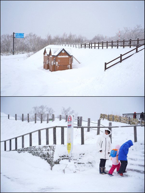 北海道自助遊攻略