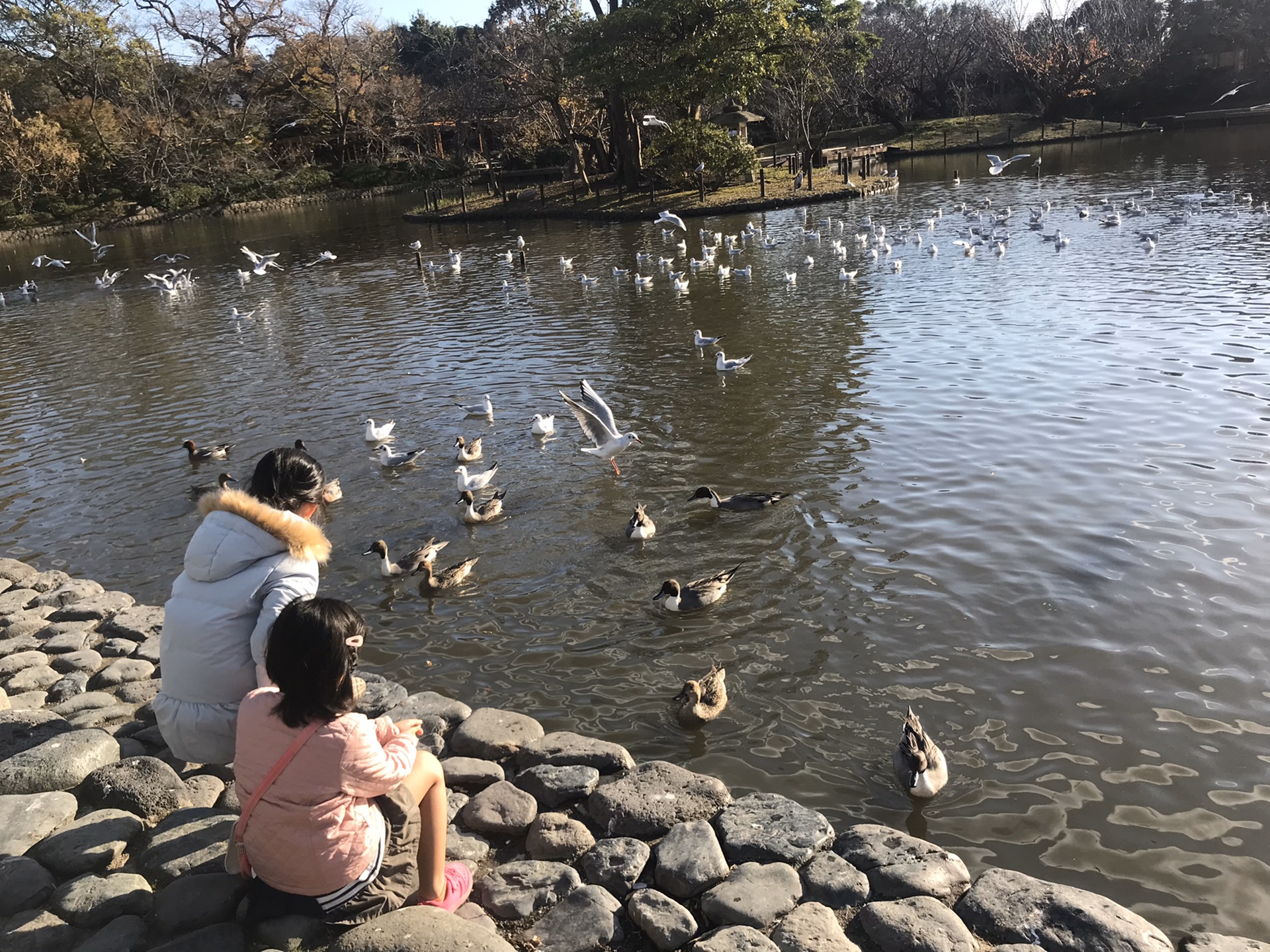 東京自助遊攻略