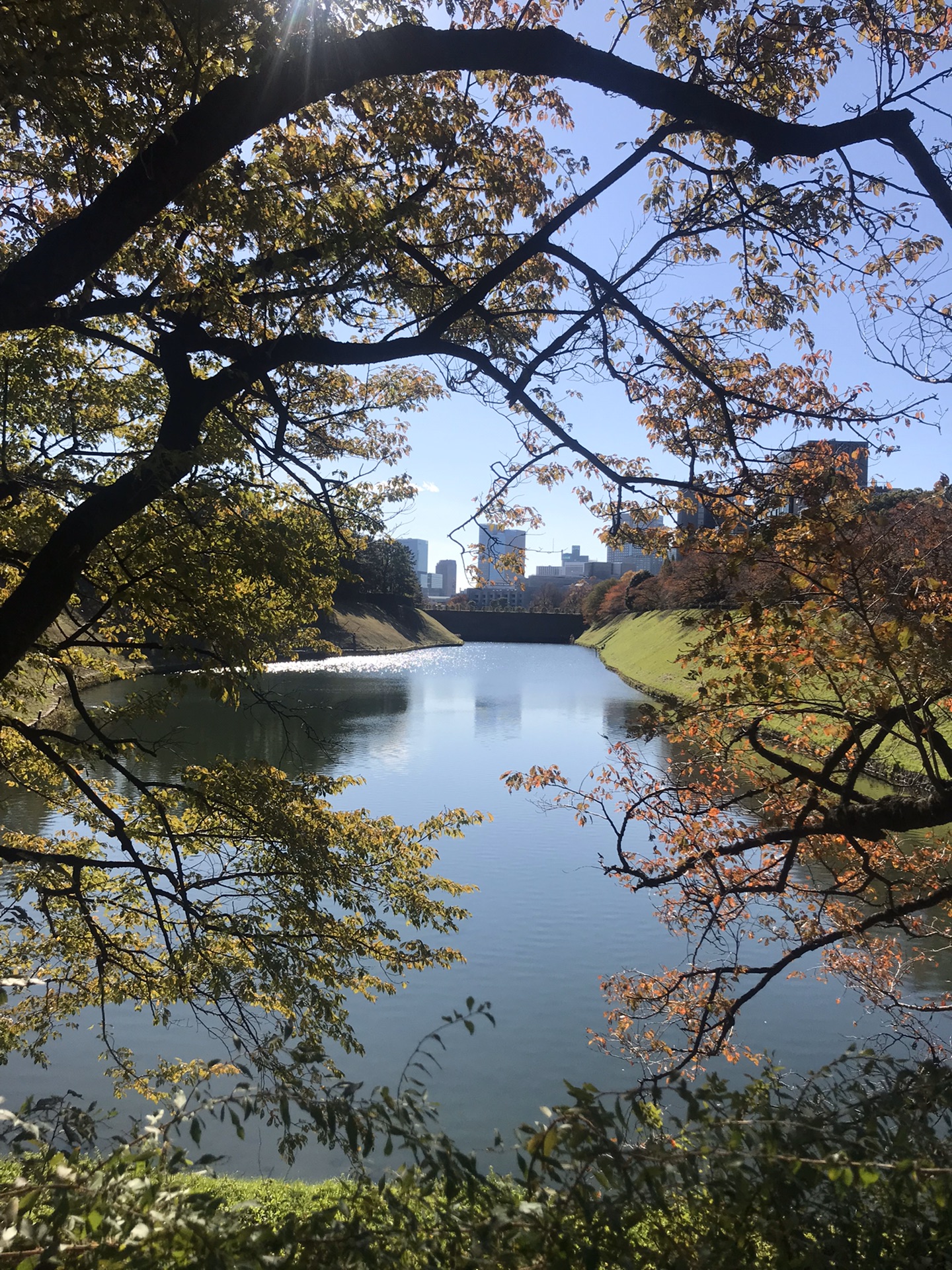 東京自助遊攻略