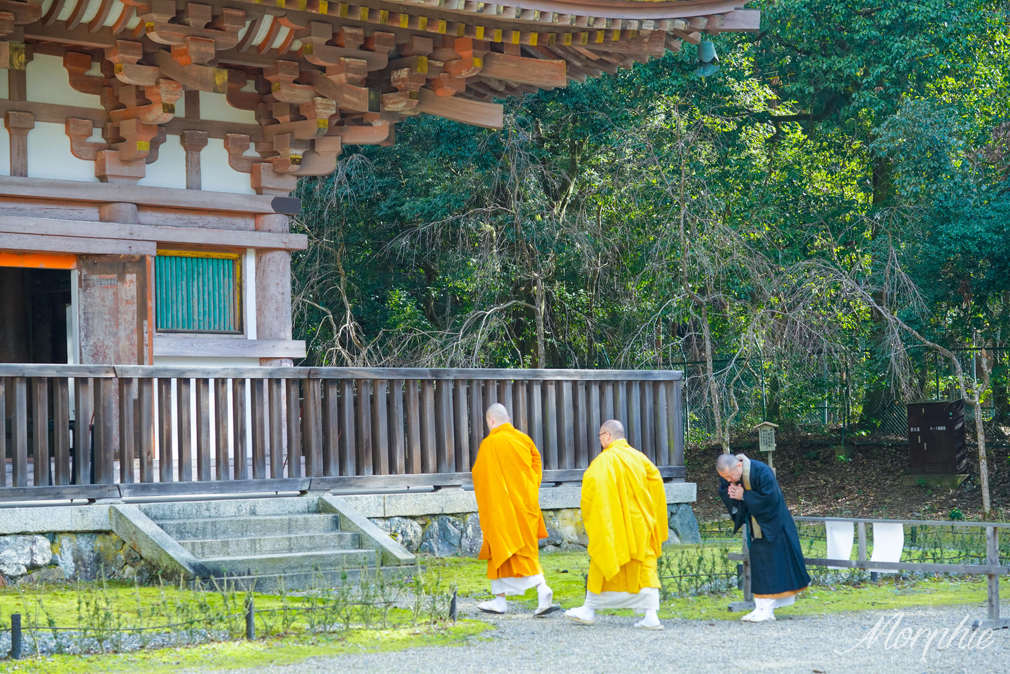 京都自助遊攻略