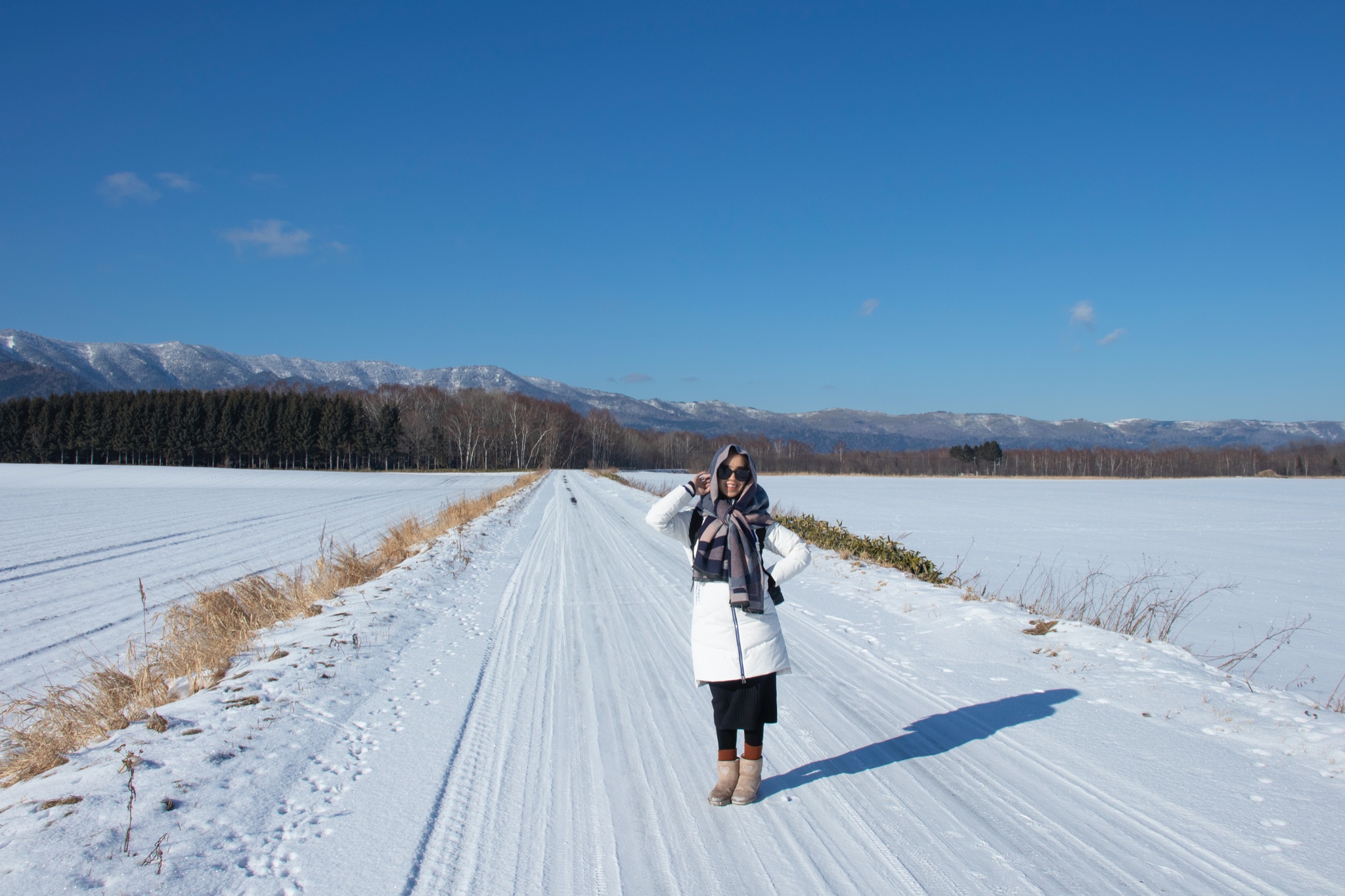 北海道自助遊攻略