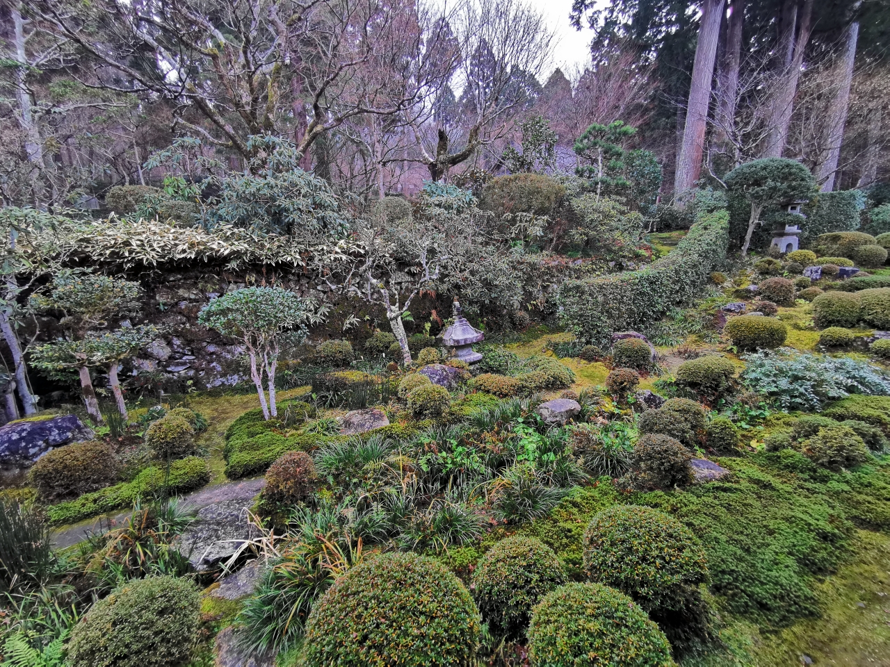 京都自助遊攻略