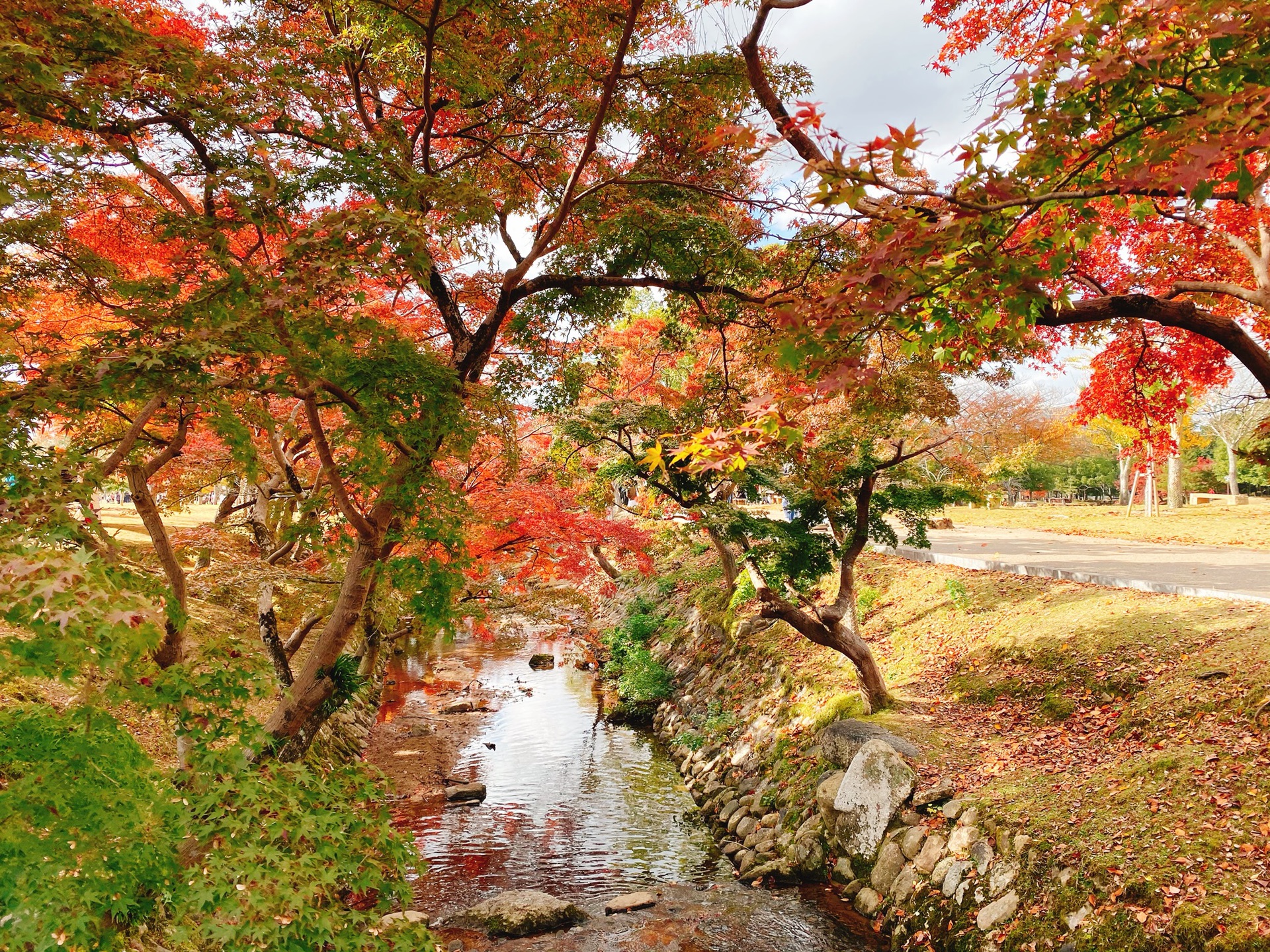 京都自助遊攻略