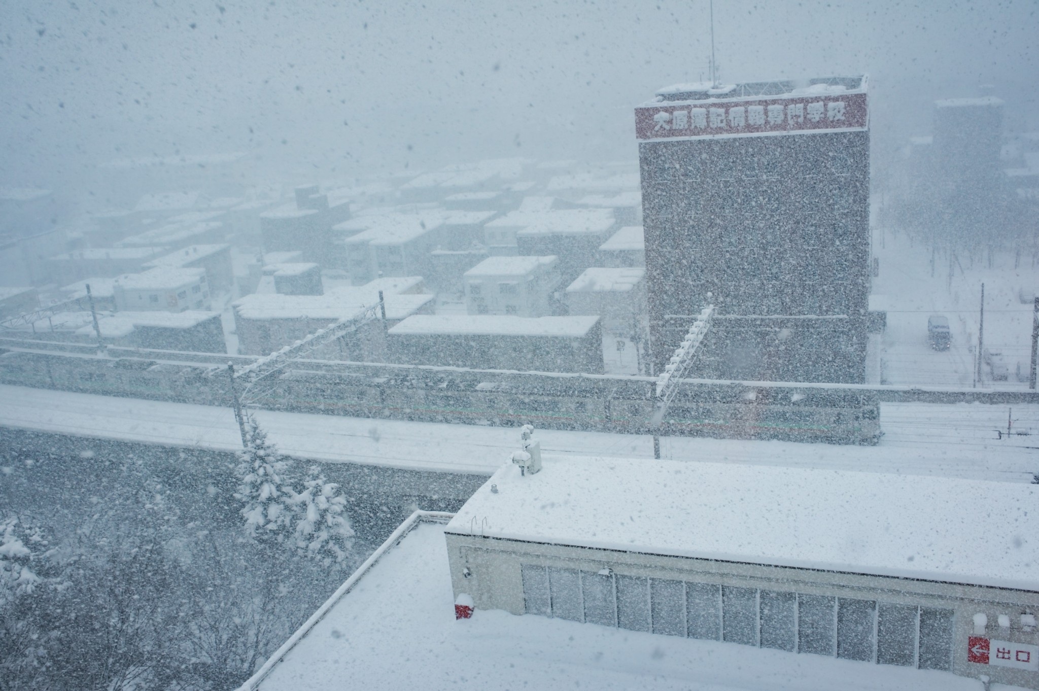 北海道自助遊攻略