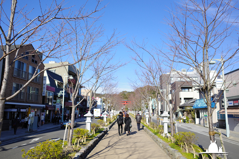 北海道自助遊攻略