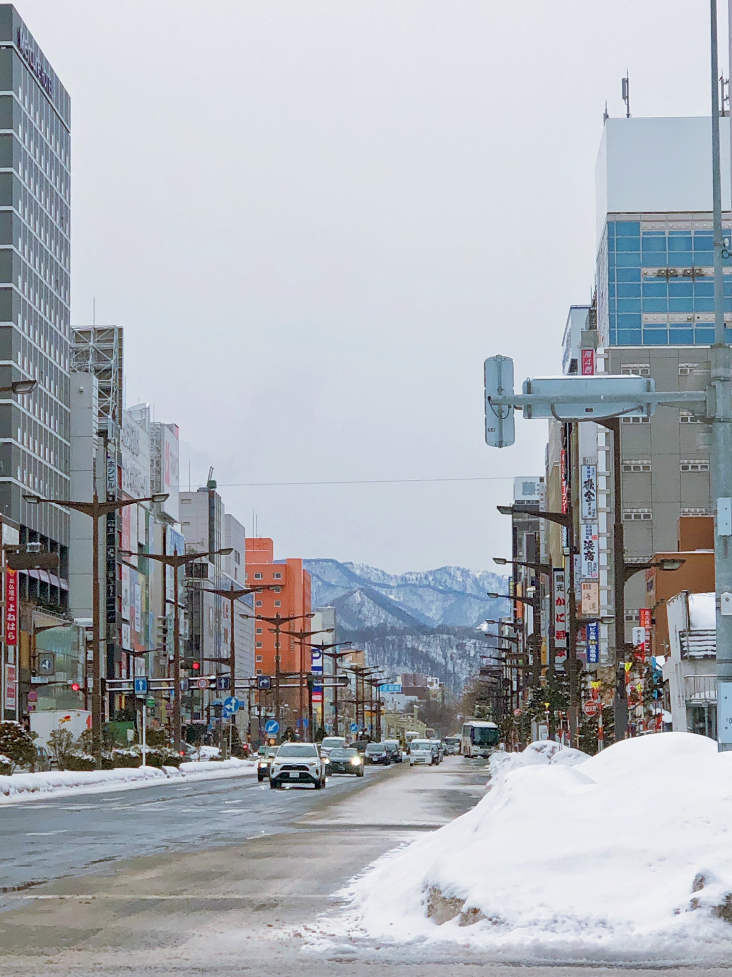 北海道自助遊攻略