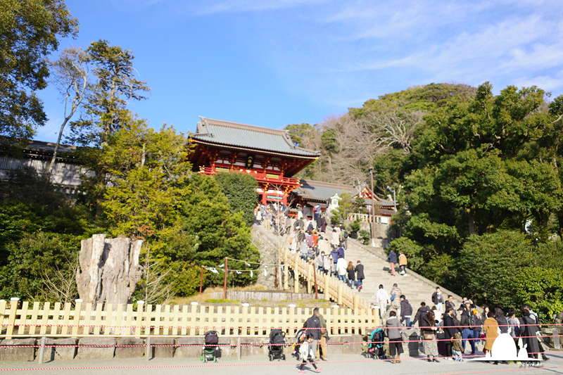 北海道自助遊攻略