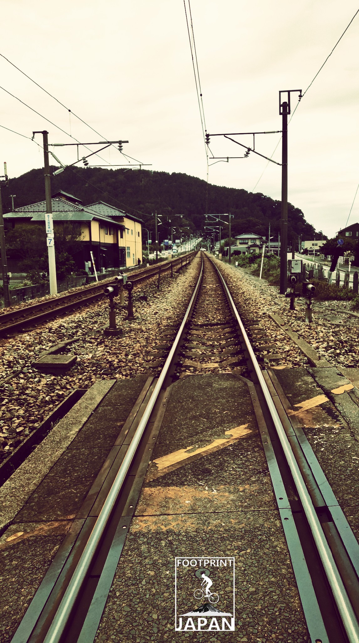 東京自助遊攻略