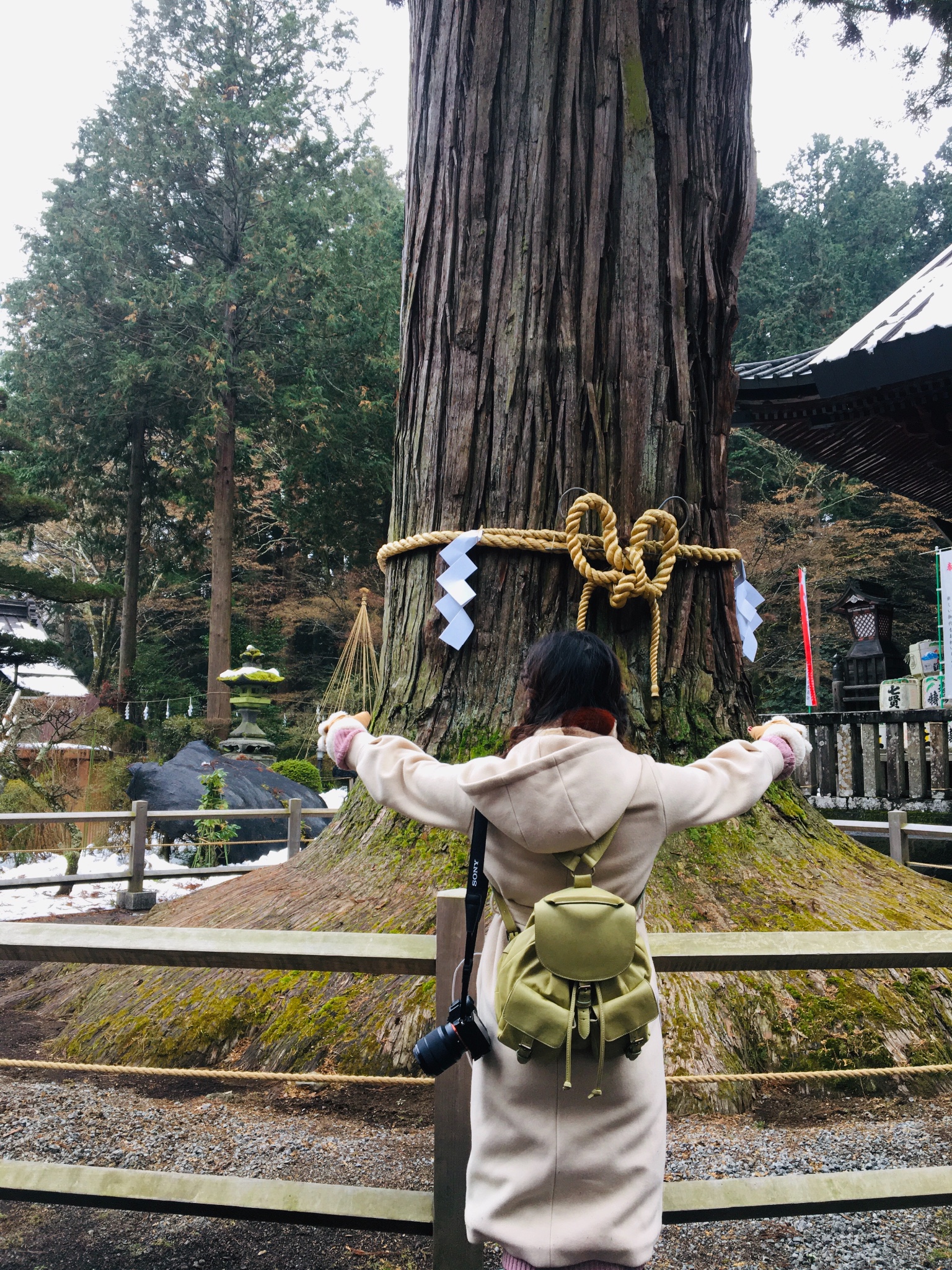 富士山自助遊攻略