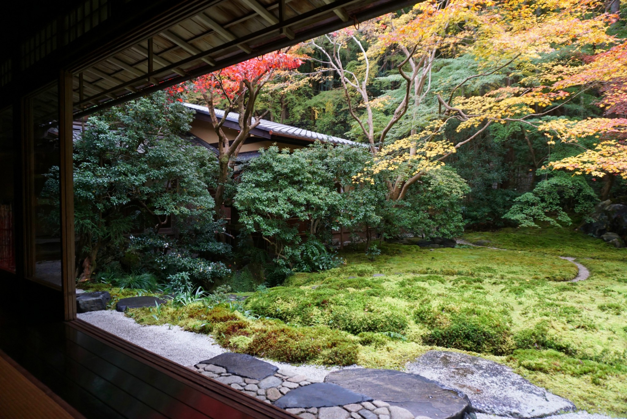 京都自助遊攻略