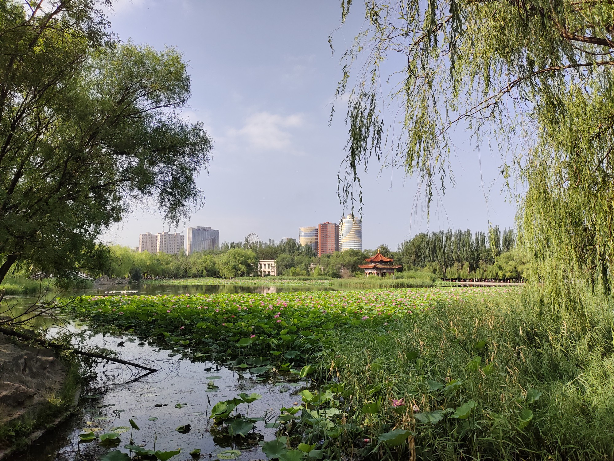 北京出發,帶老人呼和浩特市區沙漠草原三日遊