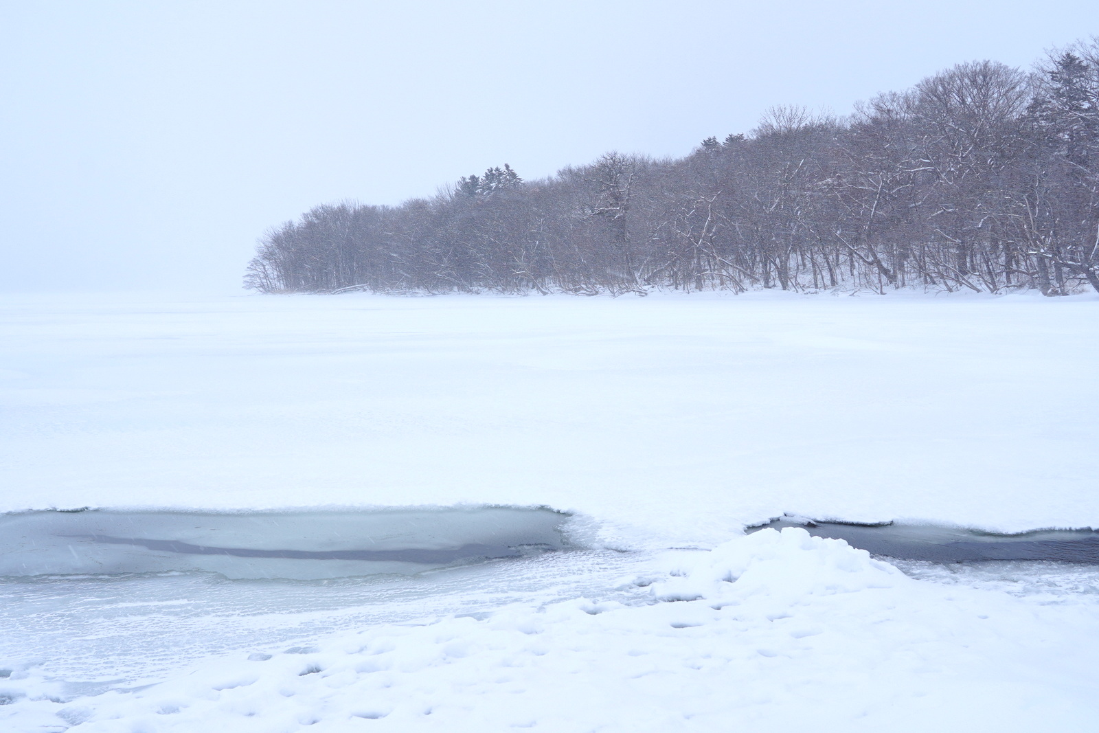 北海道自助遊攻略