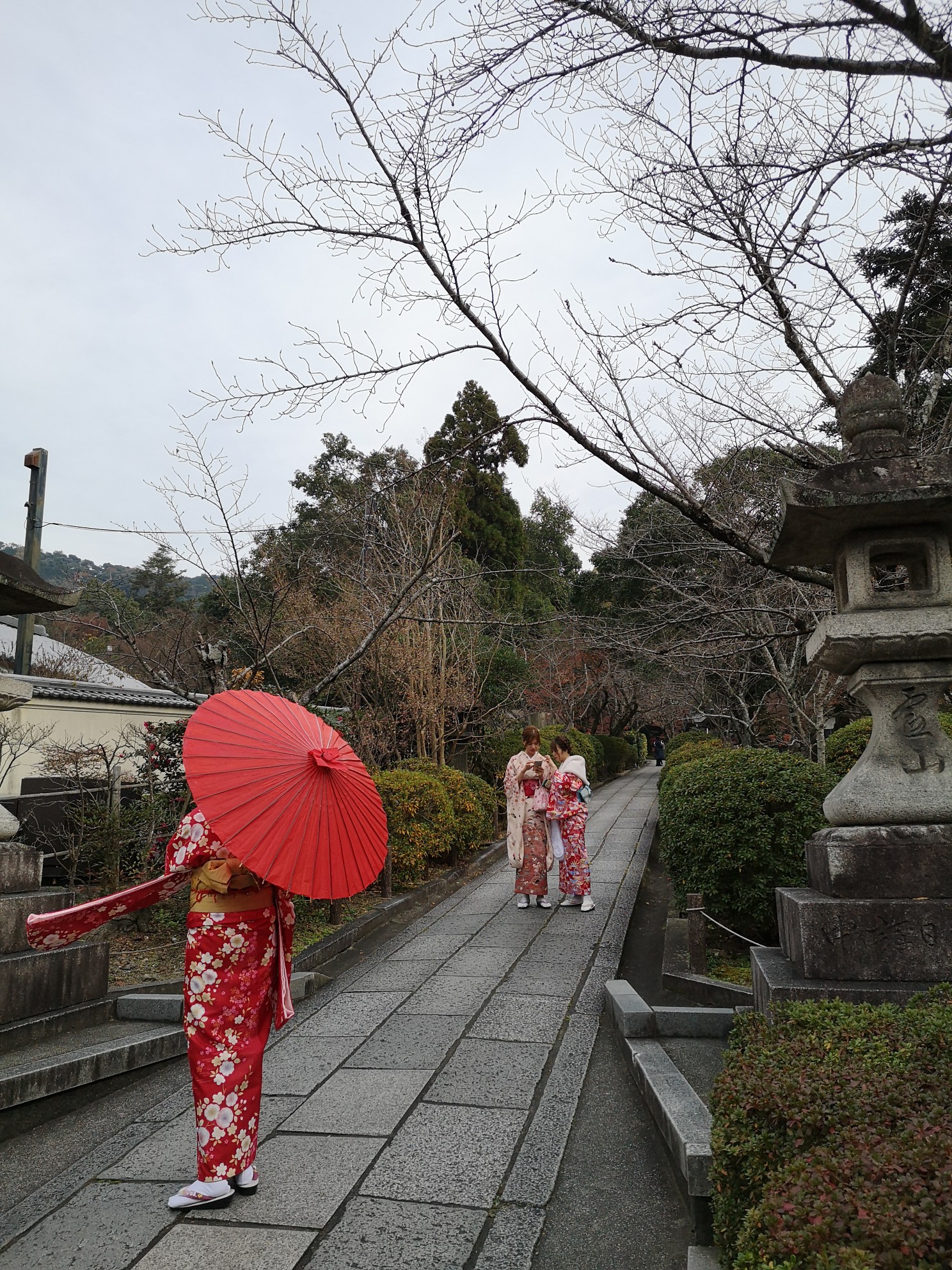 京都自助遊攻略