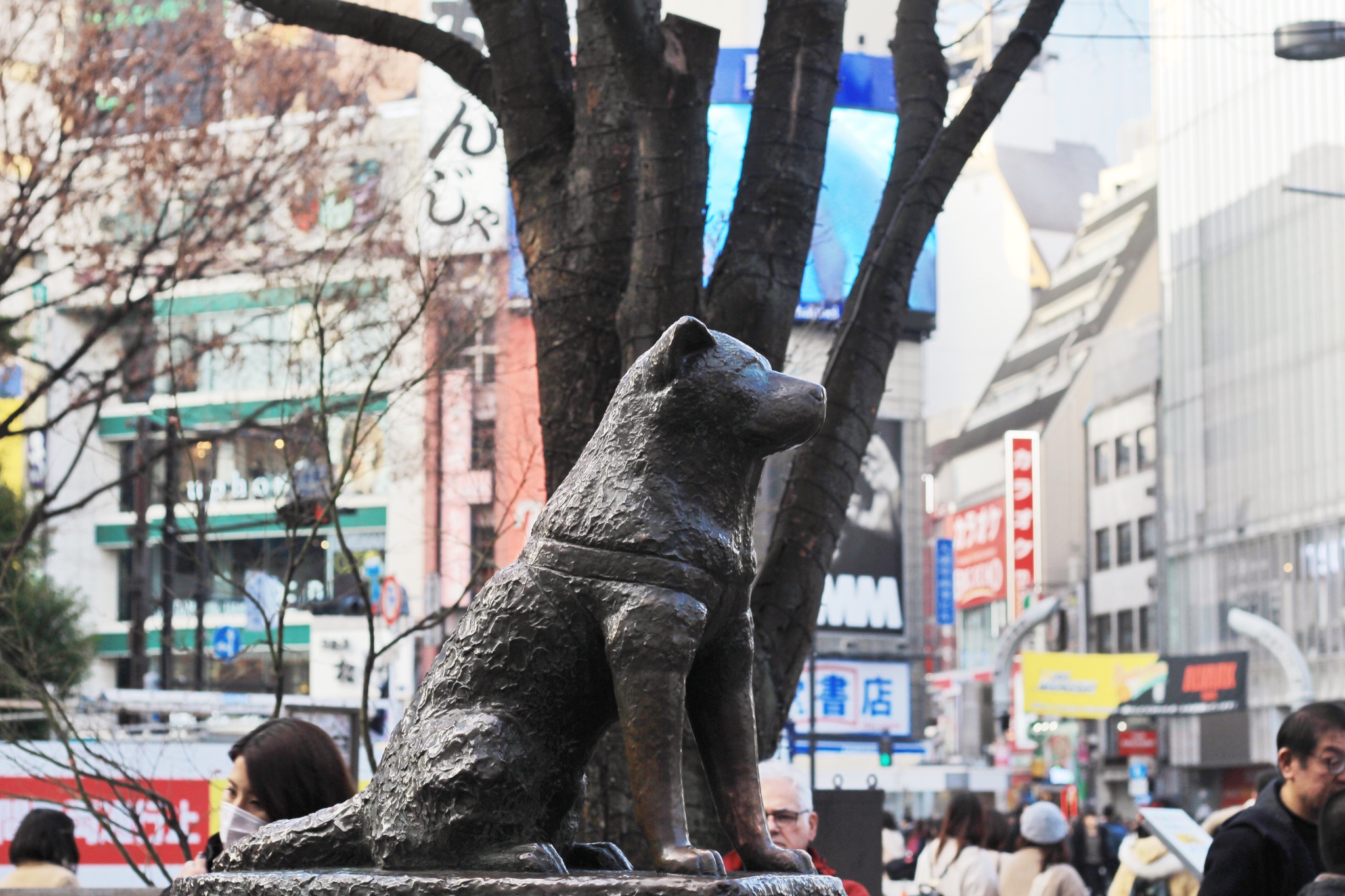 東京自助遊攻略