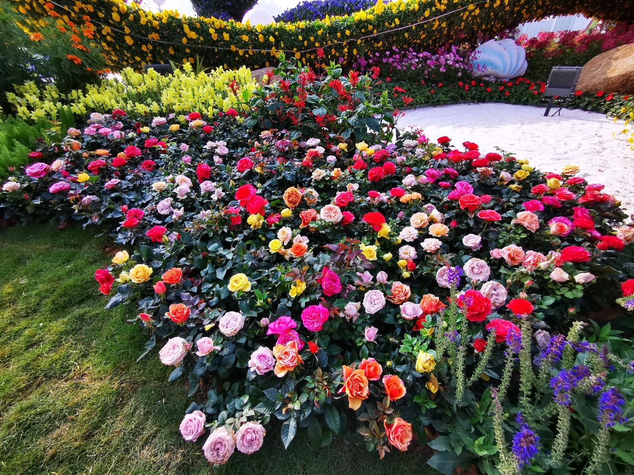 2020广州过年花城看花