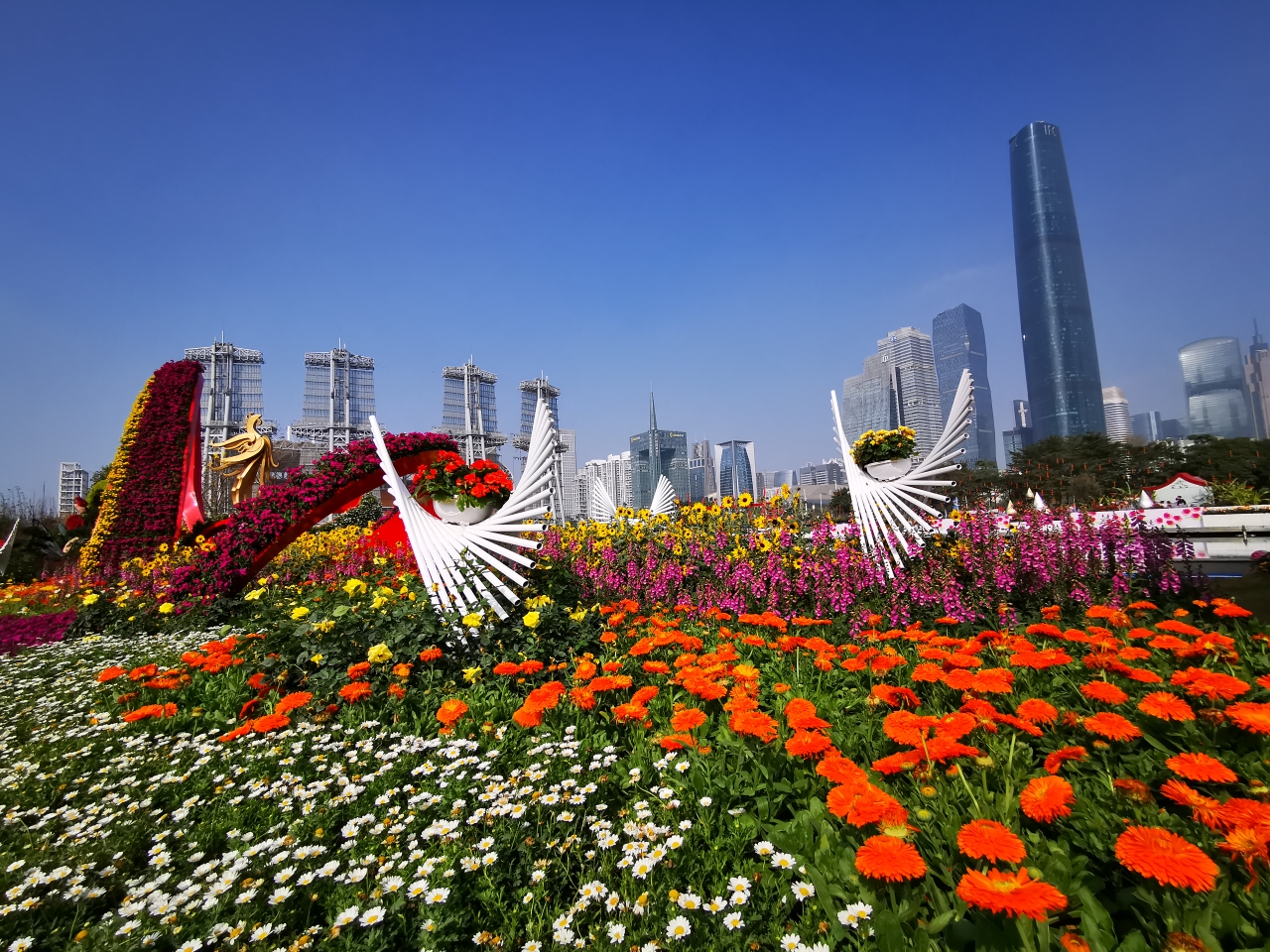 2020广州过年花城看花