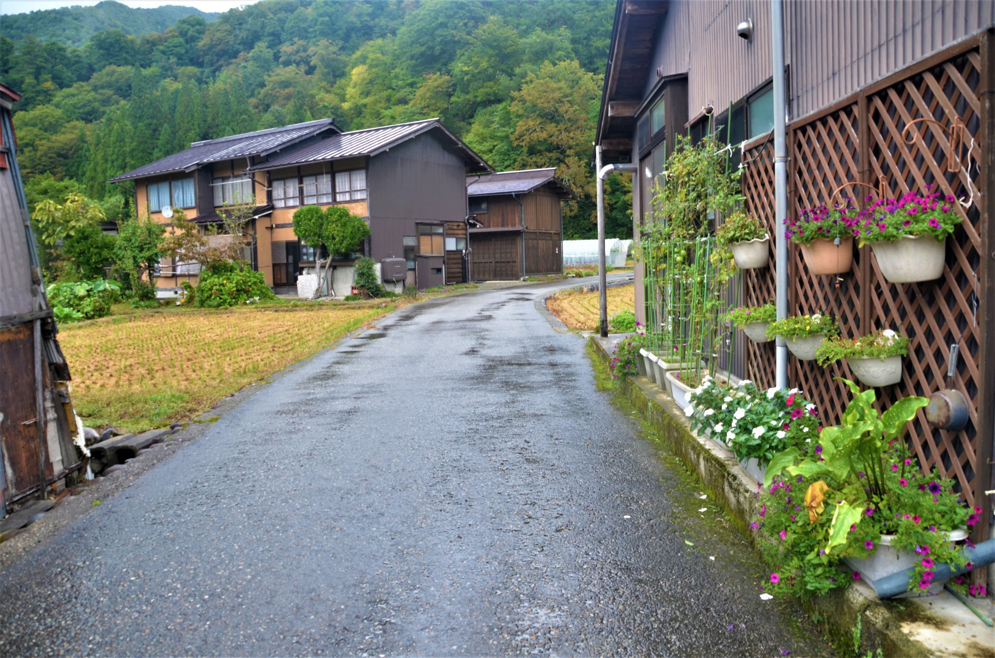 名古屋自助遊攻略