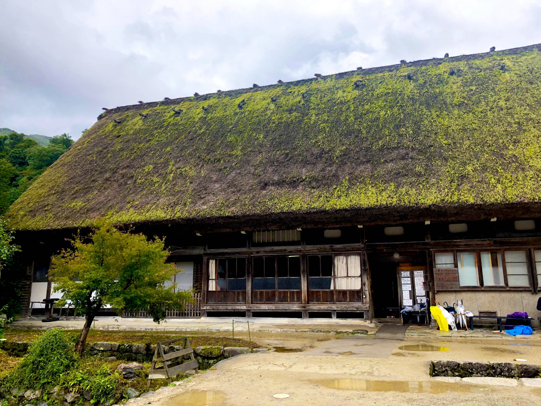 名古屋自助遊攻略