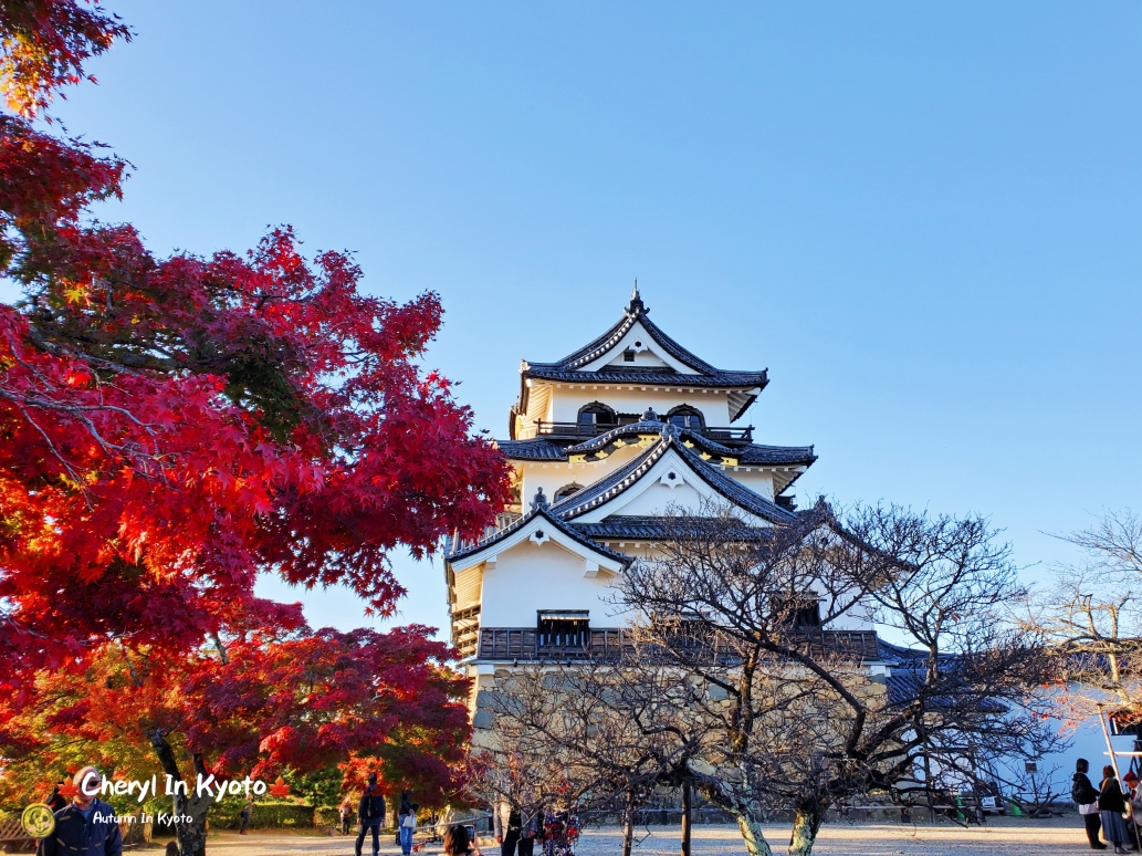 京都自助遊攻略