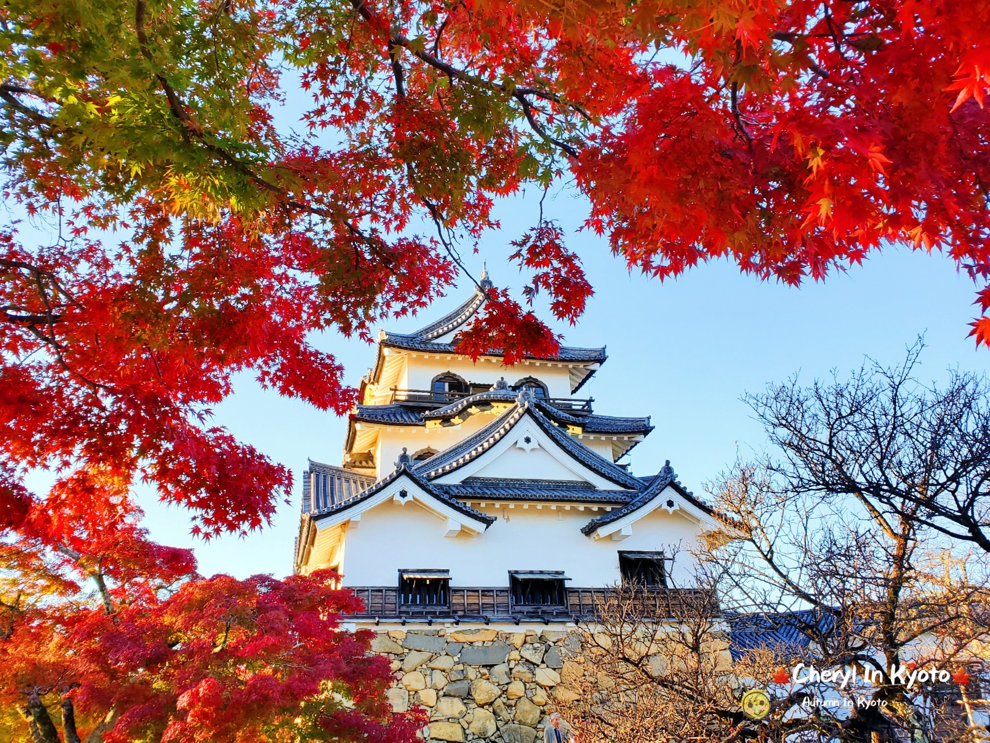 京都自助遊攻略