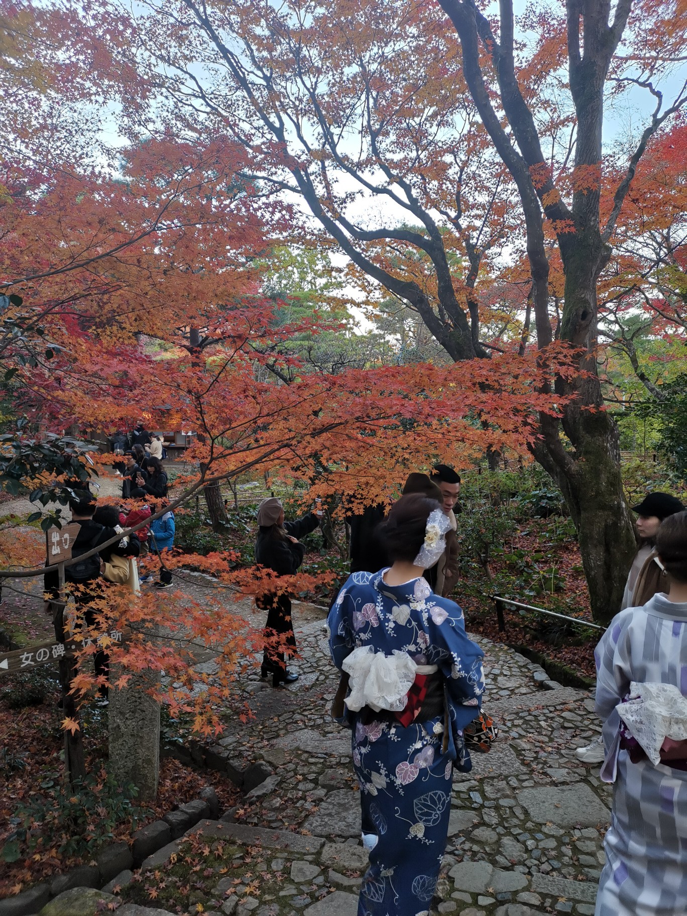 京都自助遊攻略