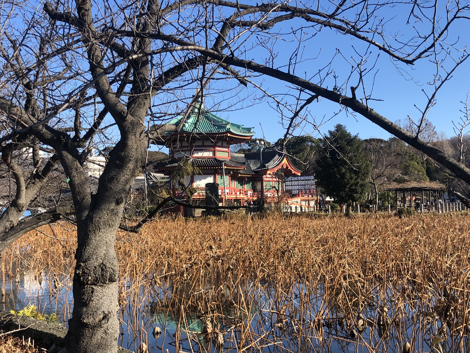 東京自助遊攻略