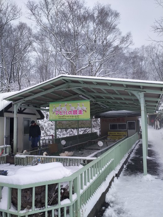 札幌自助遊攻略