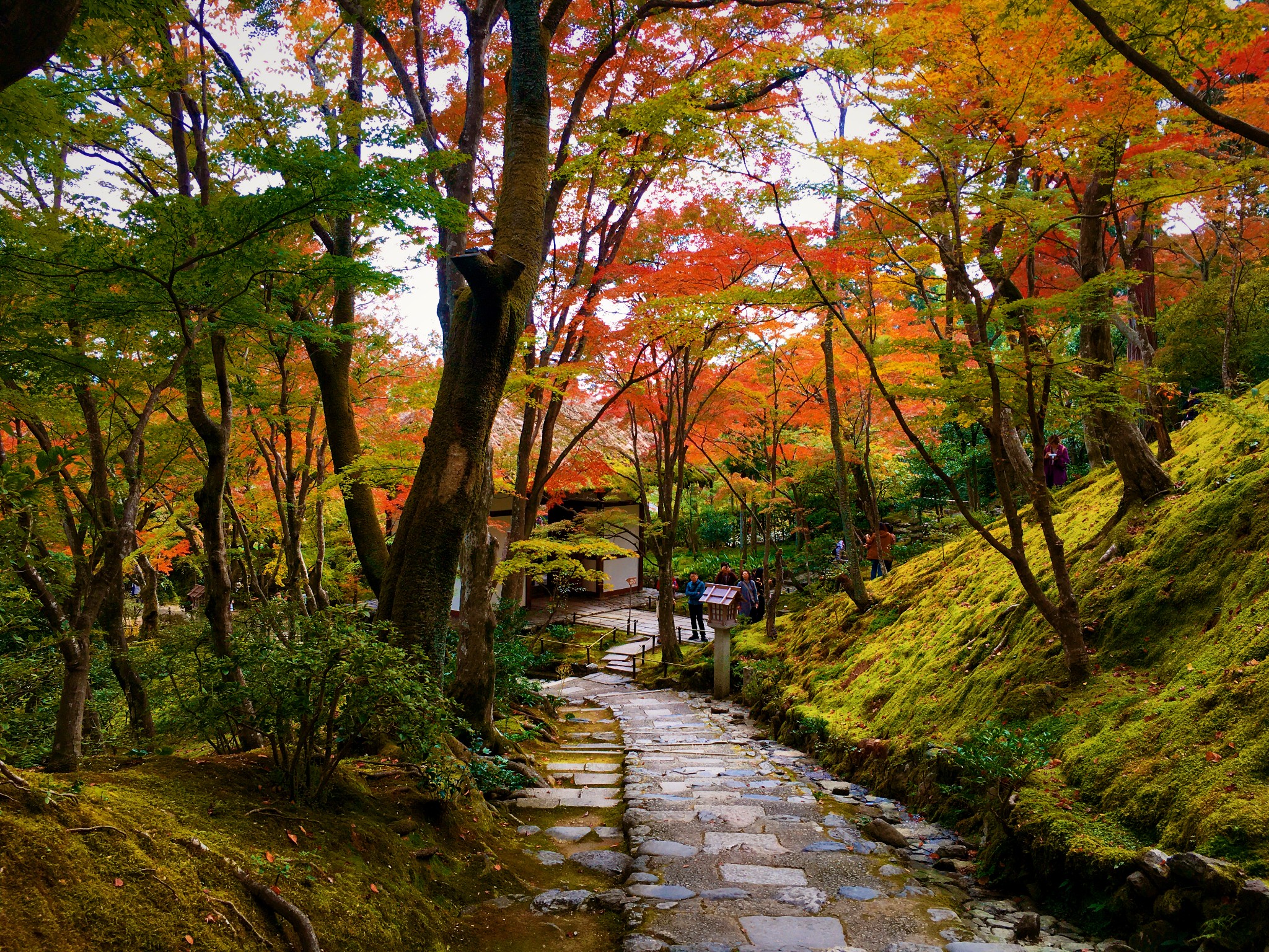 京都自助遊攻略