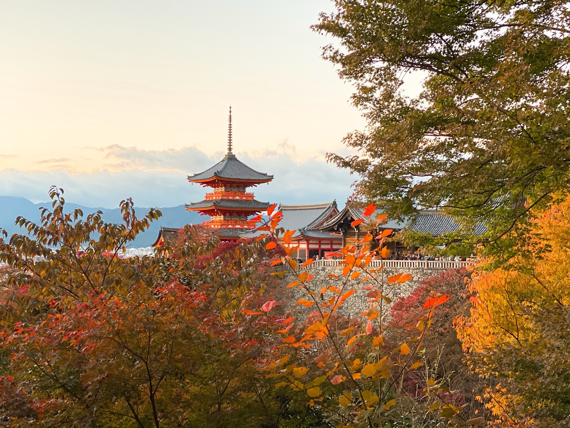 京都自助遊攻略