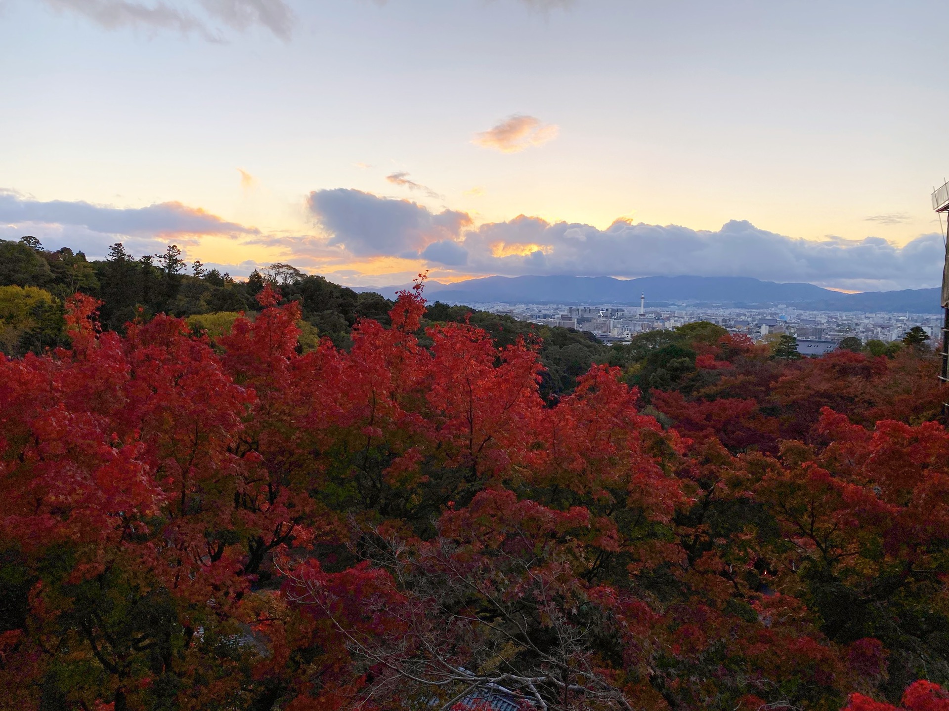 京都自助遊攻略