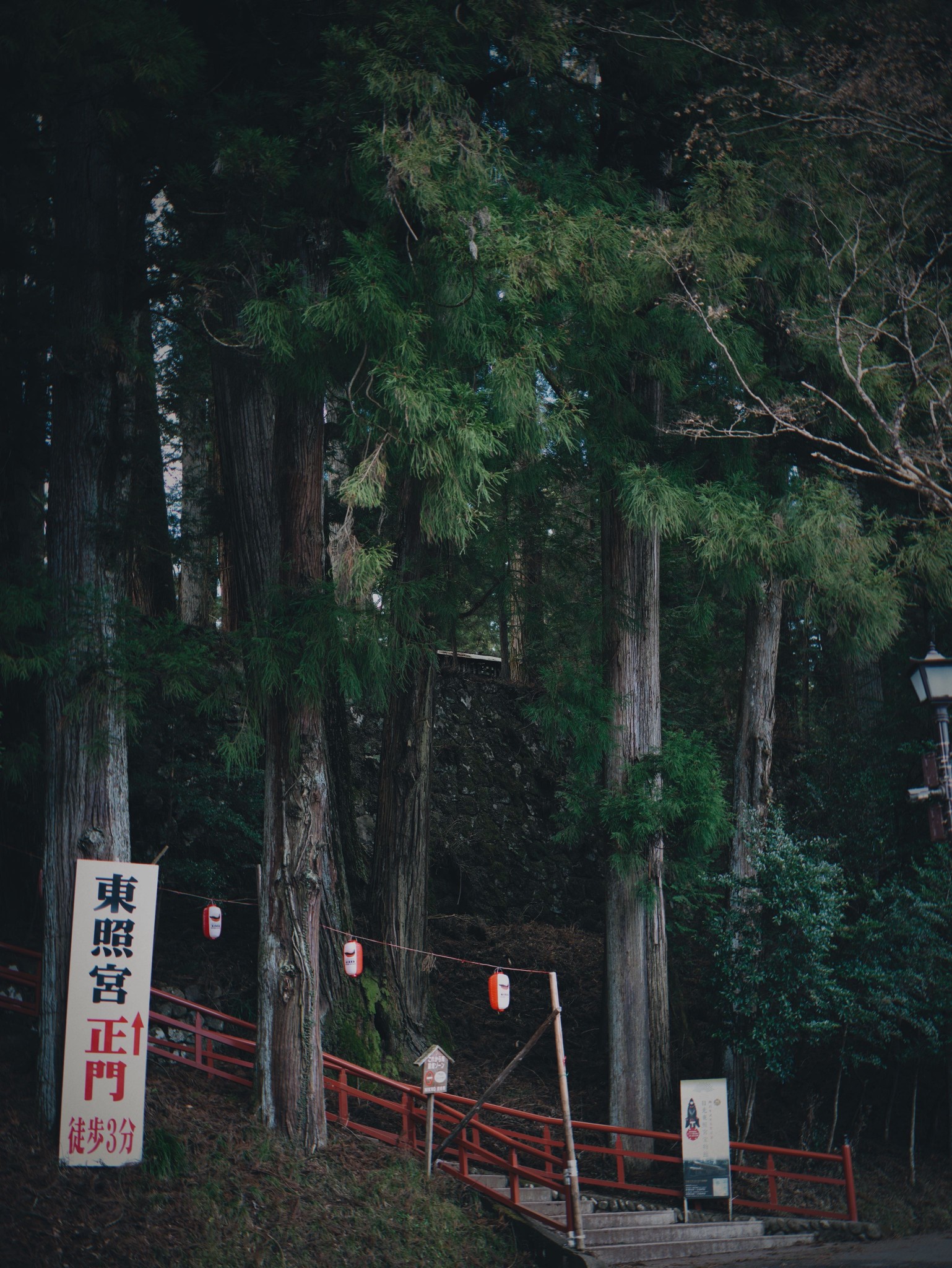 東京自助遊攻略