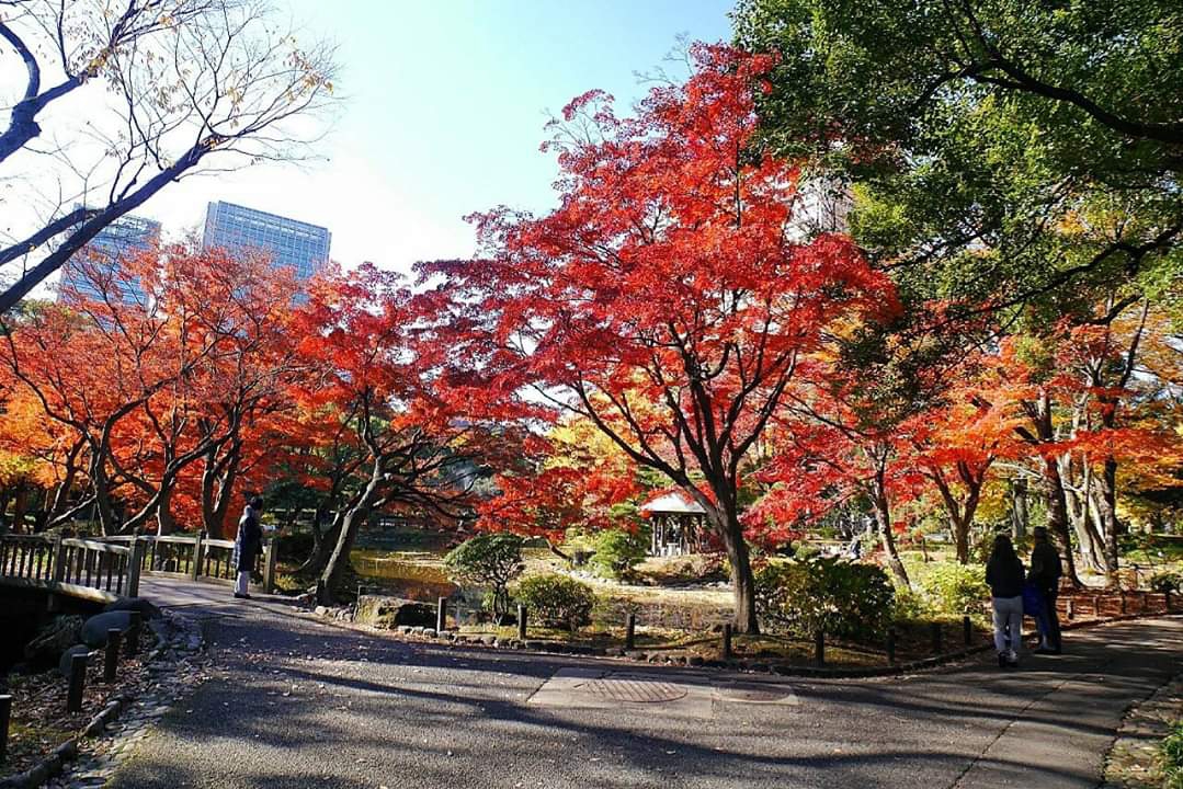 東京自助遊攻略