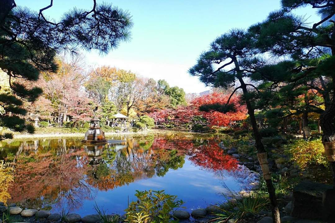 東京自助遊攻略