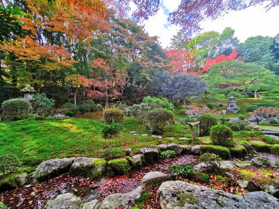 京都自助遊攻略